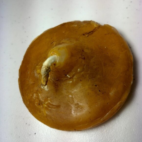 Johann Gunter Walldurn Baden Carved Wax Candle Germany Schwarzwald Mushroom 8" - Picture 6 of 16